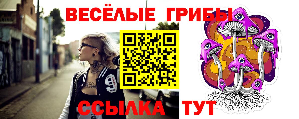 Спасск-Дальний  Галлюциногенные грибы мицелий  Вход с VPN 